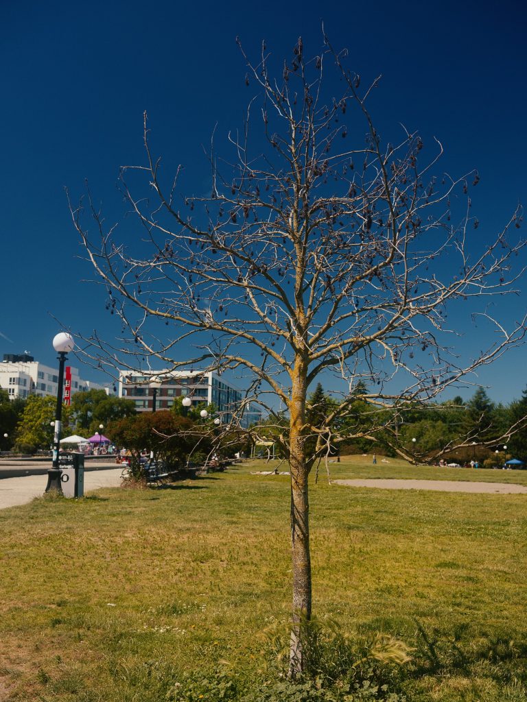 DSCF5820