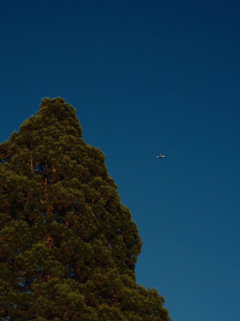 DSCF6617